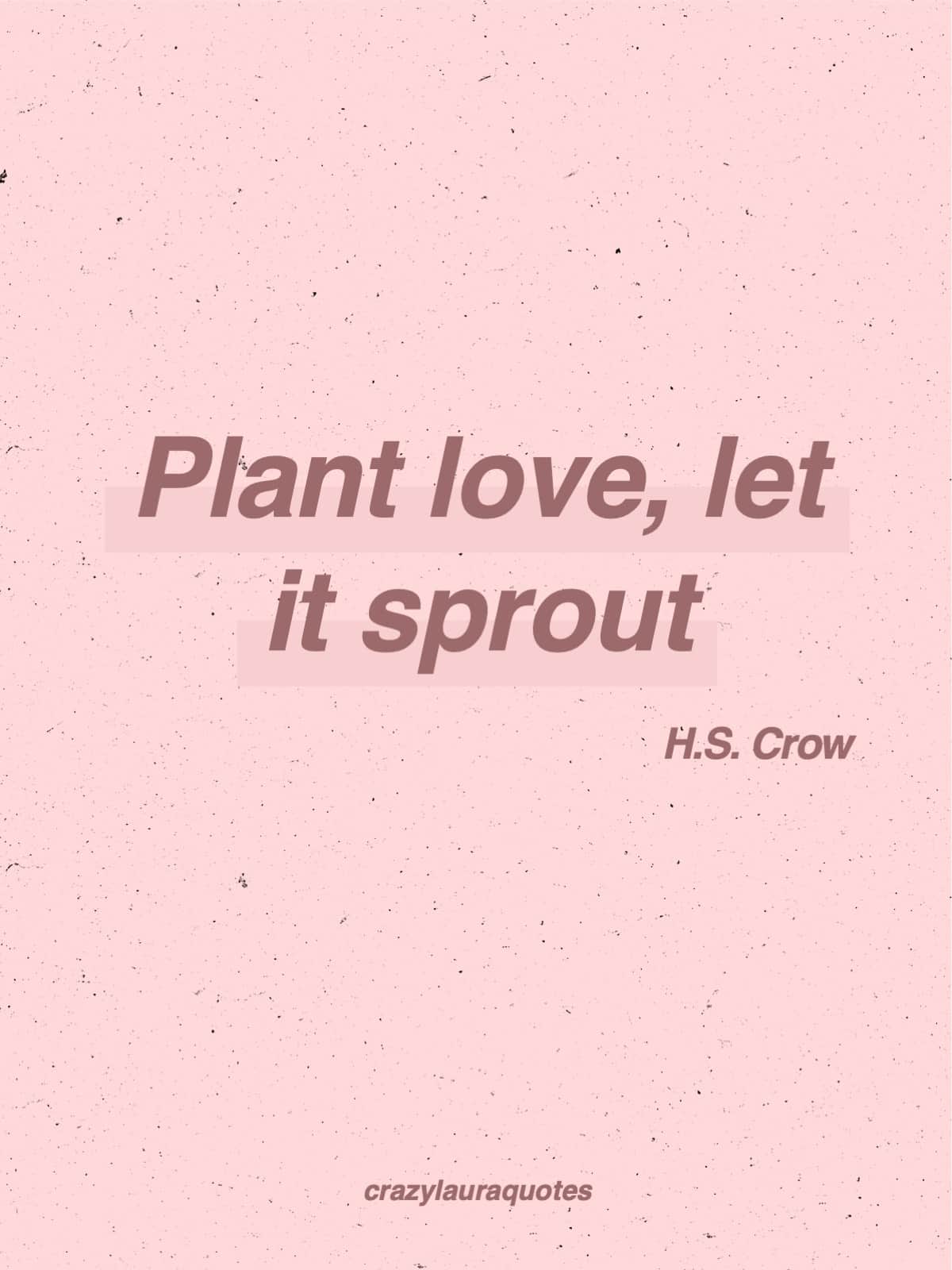 let love blossom hs crow quote