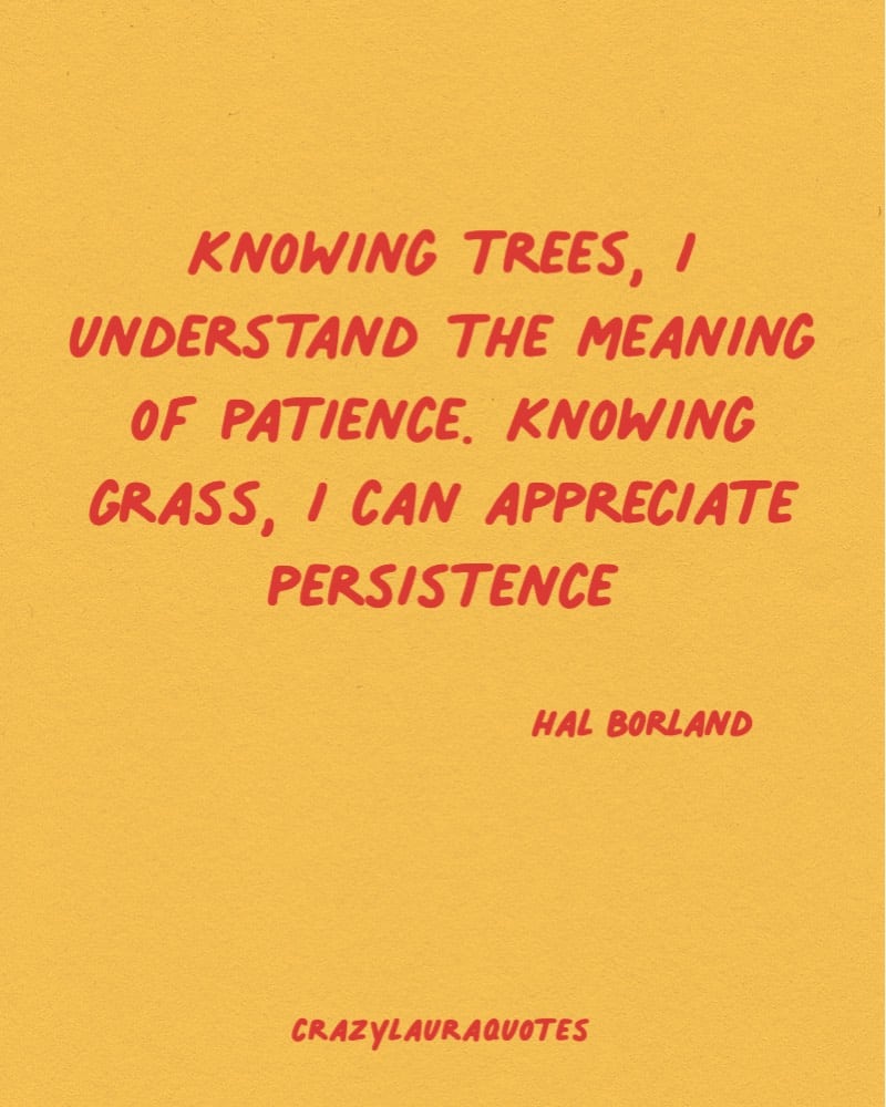 persistence quote for mondays by hal borland