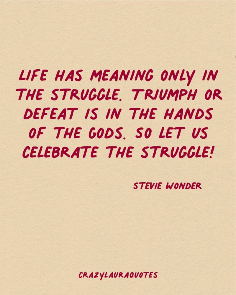 life has meaning in struggle stevie wonder