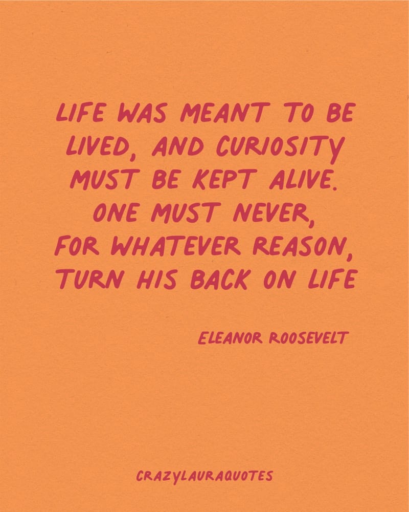 stay curious life quote